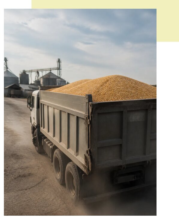 Перевозка сельхозпродукции навалом в Ессентуки по цене от 3059 р. | Агросервис-Ссн